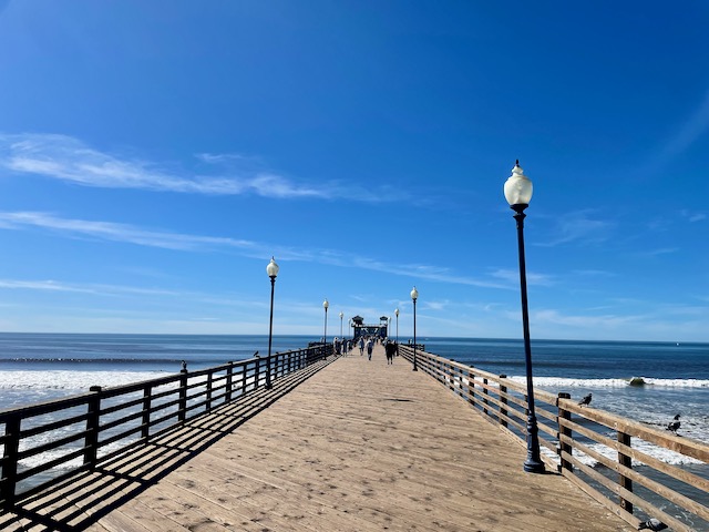 This image has an empty alt attribute; its file name is img_1782.jpeg