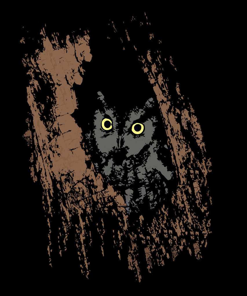 This image has an empty alt attribute; its file name is screech-owl-tree.jpg